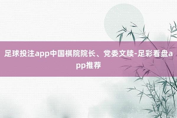 足球投注app中国棋院院长、党委文牍-足彩看盘app推荐