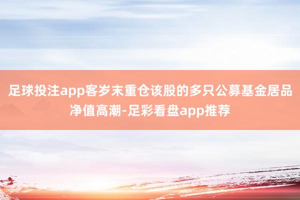 足球投注app客岁末重仓该股的多只公募基金居品净值高潮-足彩看盘app推荐