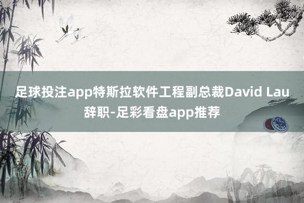 足球投注app特斯拉软件工程副总裁David Lau辞职-足彩看盘app推荐