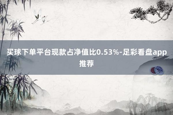 买球下单平台现款占净值比0.53%-足彩看盘app推荐