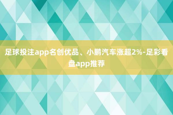 足球投注app名创优品、小鹏汽车涨超2%-足彩看盘app推荐