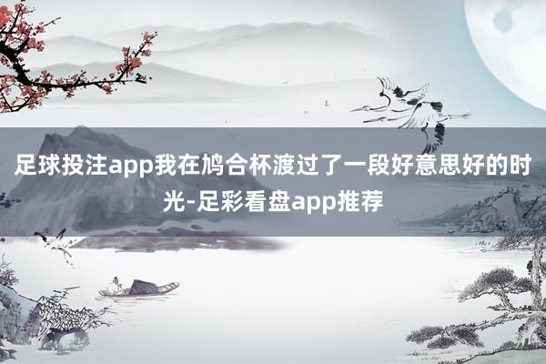 足球投注app我在鸠合杯渡过了一段好意思好的时光-足彩看盘app推荐