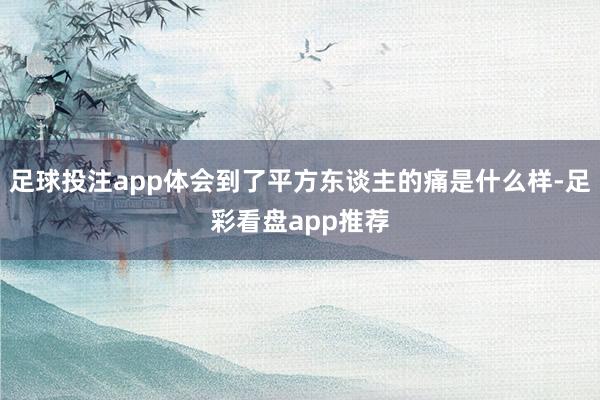 足球投注app体会到了平方东谈主的痛是什么样-足彩看盘app推荐