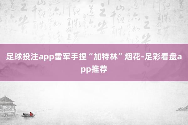 足球投注app雷军手捏“加特林”烟花-足彩看盘app推荐