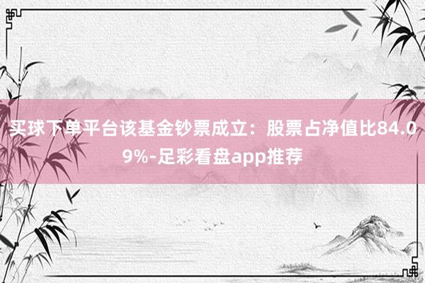 买球下单平台该基金钞票成立：股票占净值比84.09%-足彩看盘app推荐