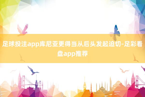 足球投注app库尼亚更得当从后头发起迫切-足彩看盘app推荐