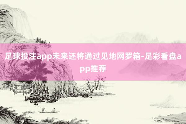 足球投注app未来还将通过见地网罗箱-足彩看盘app推荐