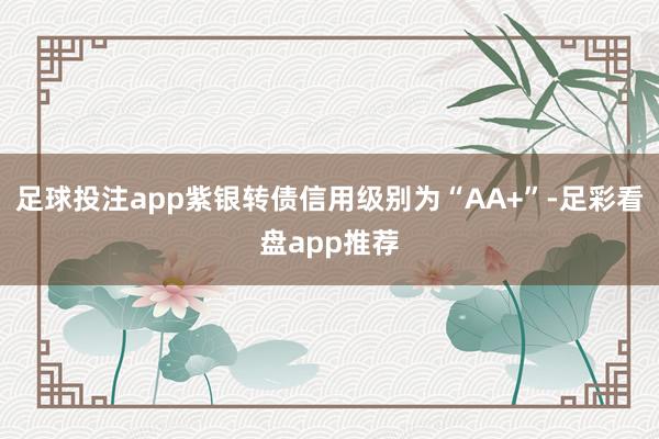 足球投注app紫银转债信用级别为“AA+”-足彩看盘app推荐