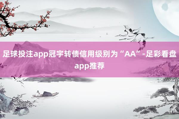 足球投注app冠宇转债信用级别为“AA”-足彩看盘app推荐