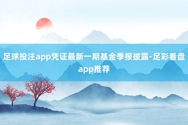 足球投注app凭证最新一期基金季报披露-足彩看盘app推荐