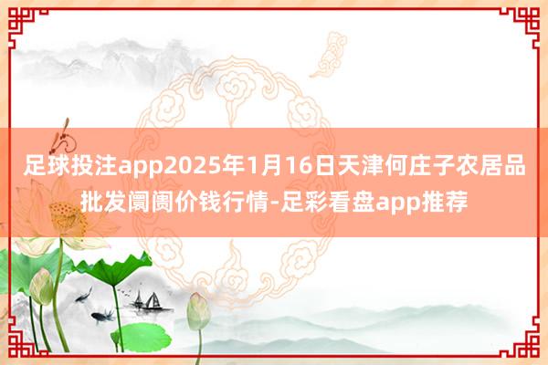 足球投注app2025年1月16日天津何庄子农居品批发阛阓价钱行情-足彩看盘app推荐