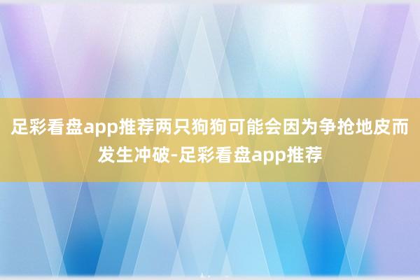足彩看盘app推荐两只狗狗可能会因为争抢地皮而发生冲破-足彩看盘app推荐