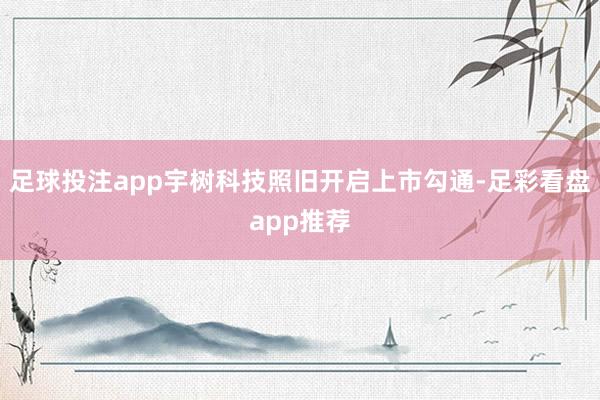 足球投注app宇树科技照旧开启上市勾通-足彩看盘app推荐