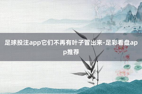足球投注app它们不再有叶子冒出来-足彩看盘app推荐