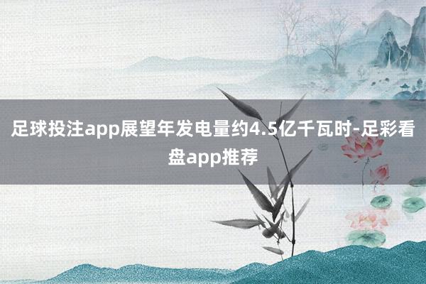 足球投注app展望年发电量约4.5亿千瓦时-足彩看盘app推荐